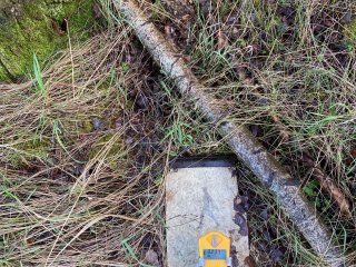 Šurf č.24-Bor III-Jih