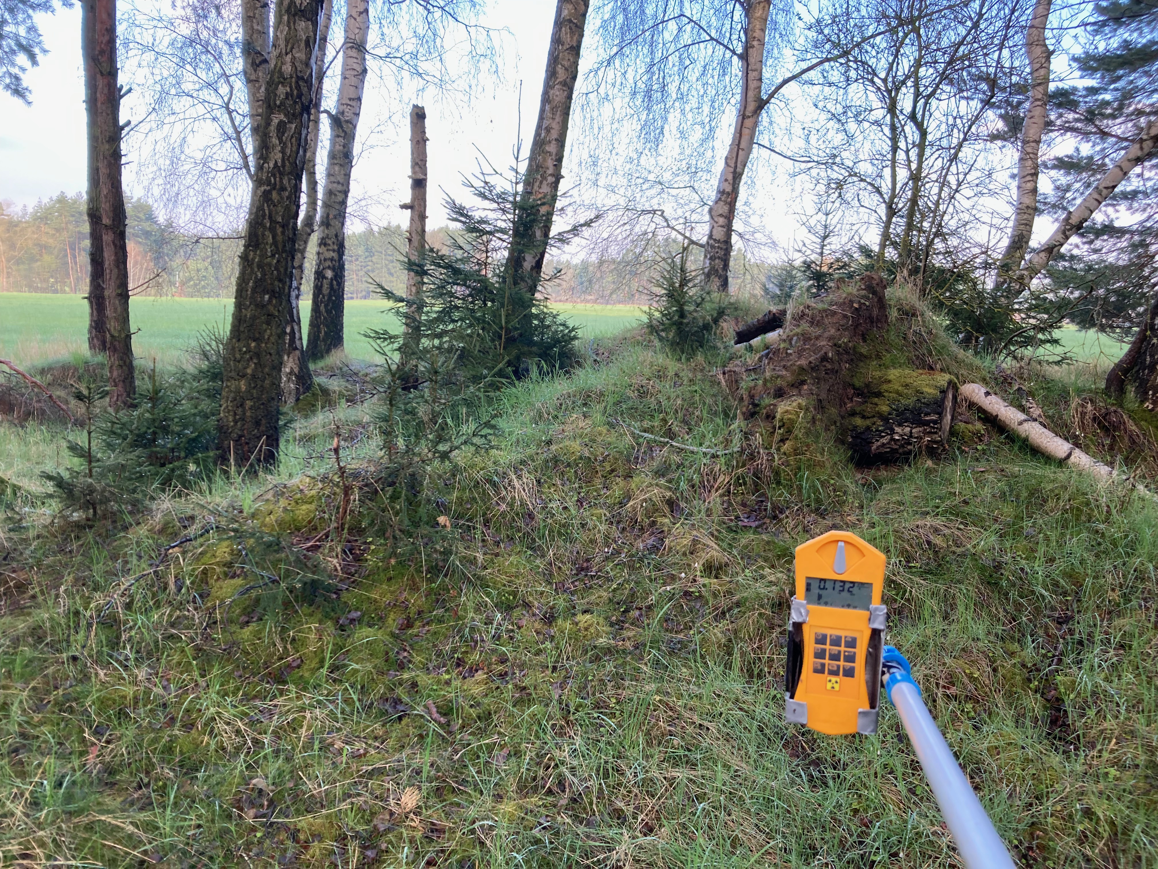 Šurf č.24-Bor III-Jih