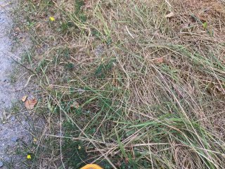 Drmoul 2 - Cech sv. Víta