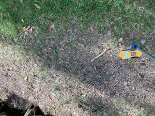 Drmoul 2 - Cech sv. Víta