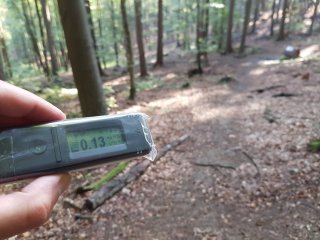 Jahodná, lesná cesta #8