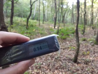 Jahodná, lesná cesta #9