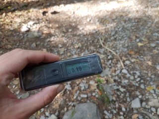 Jahodná, lesná cesta #11