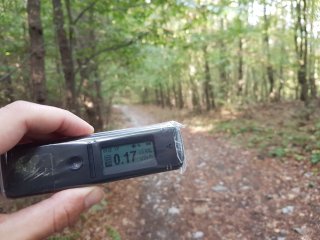 Jahodná, lesná cesta #12