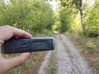 Jahodná, lesná cesta #14