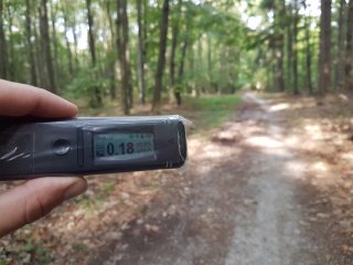 Jahodná, lesná cesta #16