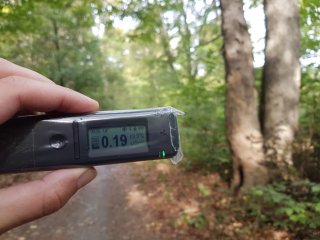 Jahodná, lesná cesta #17