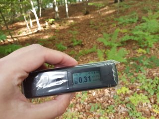 Jahodná, lesná cesta #23