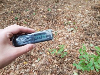 Jahodná, lesná cesta #26