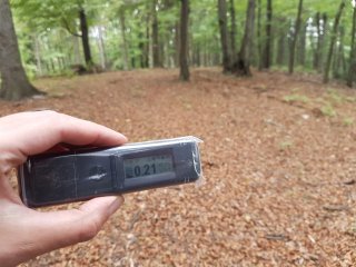 Jahodná, lesná cesta #28