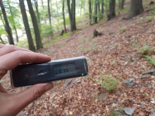 Jahodná, lesná cesta #29