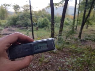 Jahodná, lesná cesta #30