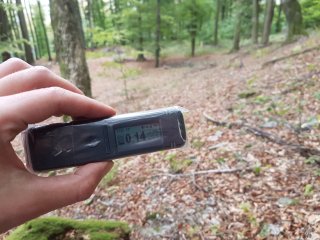 Jahodná, lesná cesta #31