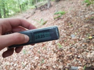 Jahodná, lesná cesta #33