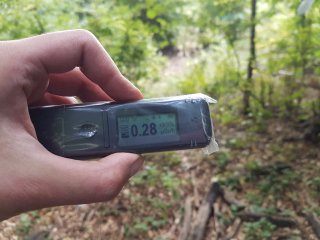 Jahodná, lesná cesta #36