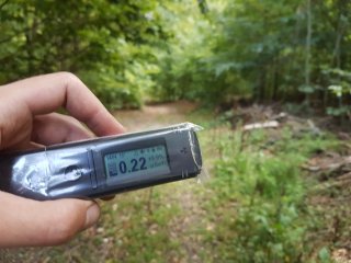 Jahodná, lesná cesta #37