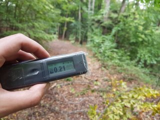 Jahodná, lesná cesta #38