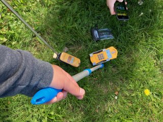 Travnatý remíz u silnice