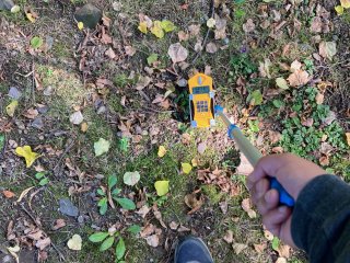 Trávník před radiologickým centrem