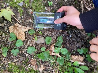 Cesta lázeňským parkem