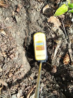 Park před hotelem Radium Palace