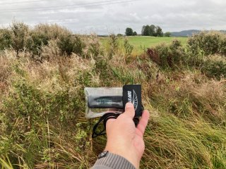 Šurf č.100-Stráž u Tachova