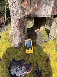 Komárov - les nad ZKO