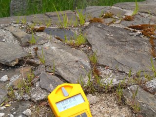 Židovský hřbitov, Švihov