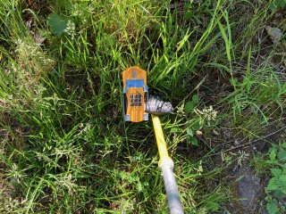 Aktivní hromádka u stromu