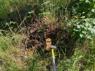 Aktivní hromádka u stromu