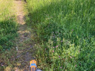 Cesta na bývalém odvalu