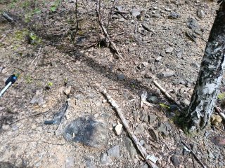 Ďalšie miesto na halde lomu Muráň