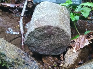 Selce stopy po prieskume