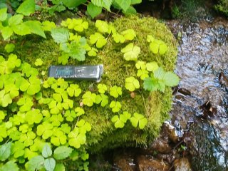 Selce, koryto potoka