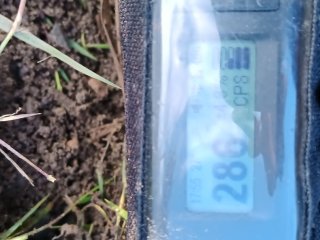 lesná cesta v okolí šváboviec