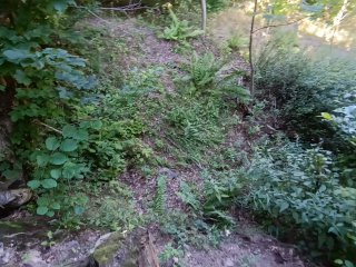 Hnilčík, vľavo od zasypanej štôlne č. 21