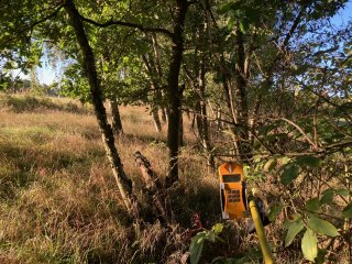 Remízek v poli, bývalá jáma