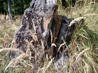 Zvernica Betliar kameň2