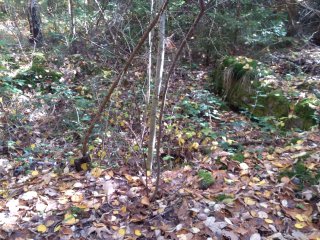 Starý Pelhřimov, bývalý důl