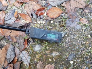 Muráň - lesná cesta #2