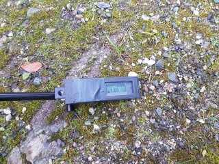 Muráň - lesná cesta #4