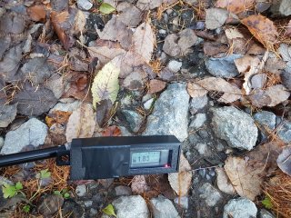 Muráň - lesná cesta #5