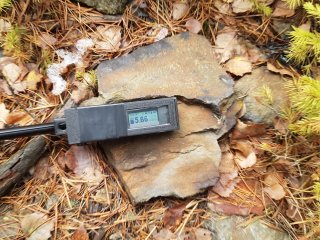 Muráň - v lese vedľa cesty