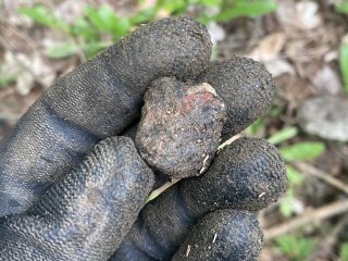 Bývalý důl a jeho okolí.