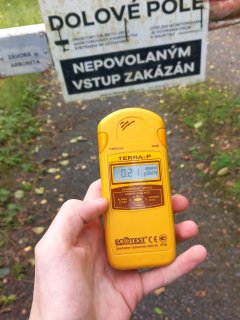 Lesní cesta vedoucí do lomu ČSA