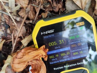 Park Lázně Jáchymov