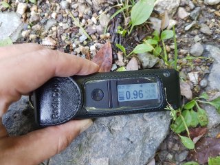 Muráň - lesná cesta #11