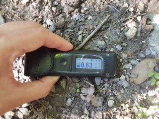 Muráň - lesná cesta #12