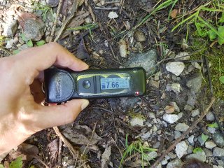 Muráň - lesná cesta #13