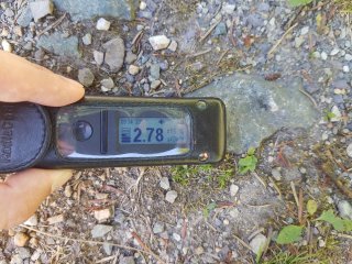 Muráň - lesná cesta #14